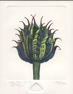 a globe flower seed pod that has become urbanized