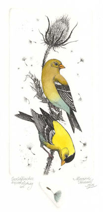 two goldfinches sitting on a seed pod stem