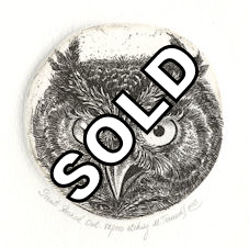 image of a great horned owl