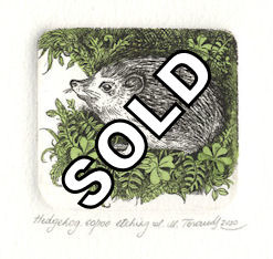 etching of a hedgehog