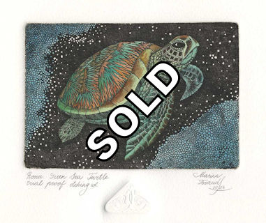 a huno green sea turtle floating in the ocean