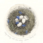 etching of a indigo bunting nest