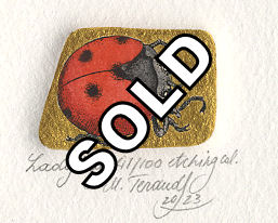 miniture etching of a ladybug