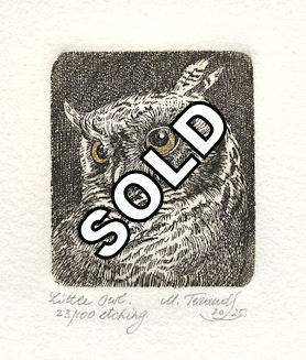 an etching of a small owl