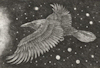 etching of the Memory raven (munin in norse mythology)