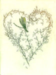 etching of a wildflower wreath in the shape of a heart