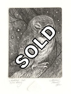 a mottled owl sleepiing on a branch