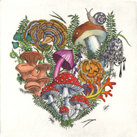a fine art etching of an assortment of mushrooms in the form of a heart