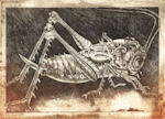 original etching of a mechanized crickcet