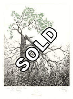 image of broken tree that is sprouting new leaves