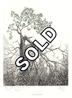 image of broken tree that is sprouting new leaves