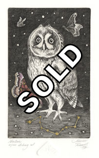 an owl appearing with the lost constellation, Noctua