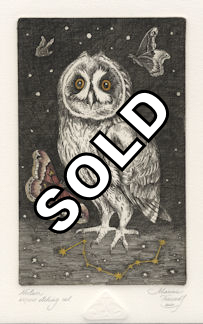 an owl appearing with the lost constellation, Noctua