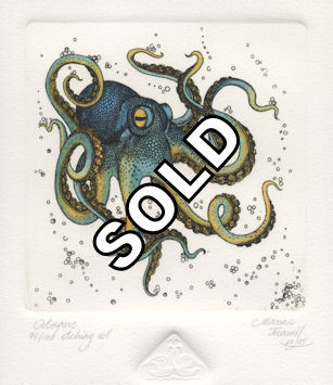 an etching of an octopus