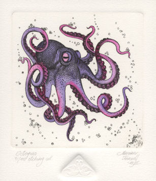 an etching of an octopus