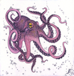 an etching of a octopus swimming free in the water