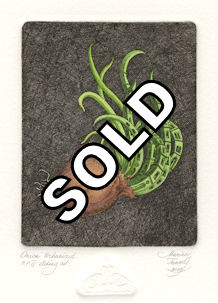 image of a sprouting onion that is urbanized