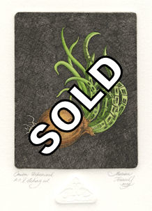 image of a sprouting onion that is urbanized