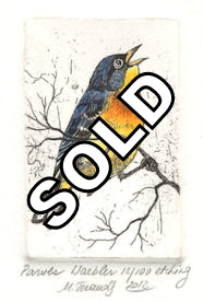 orginal etchings of a parula warbler