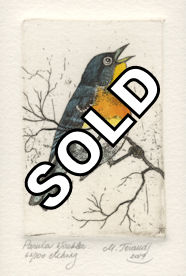 orginal etchings of a parula warbler