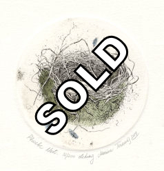 etching of a phoebe nest