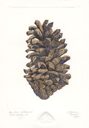 A pine cone that has become urbanized