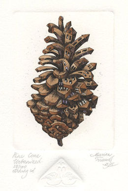 etching of an urbanized pinecone