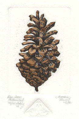 etching of an urbanized pinecone
