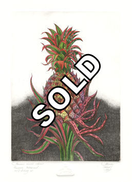 etching of a urbanized pineapple