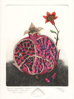 etching of a urbanized version of the pomegrante fruit