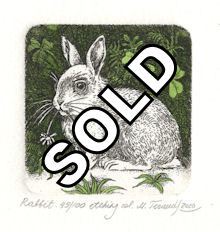 watercolored etching of a rabbit