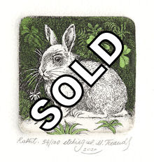 watercolored etching of a rabbit