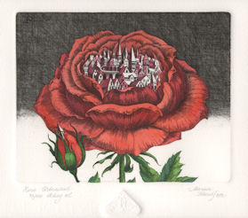 etching of rose that is urbanized