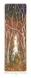 etching of a autumn scene of a trail through a woods