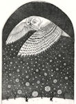 an etching of snowy owl in a wintry flight