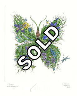 image of a fantasy butterfly featuring spring