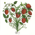image of strawberry heart