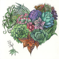 arrangement of succulents in the shape of a heart