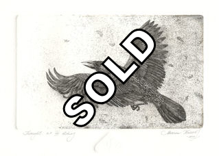 named Thought, from  Norse mythology, Huginn