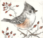 thumbnail for birds gallery